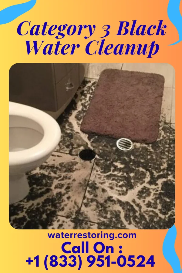 Category 3 Black Water Cleanup in Cusick, WA