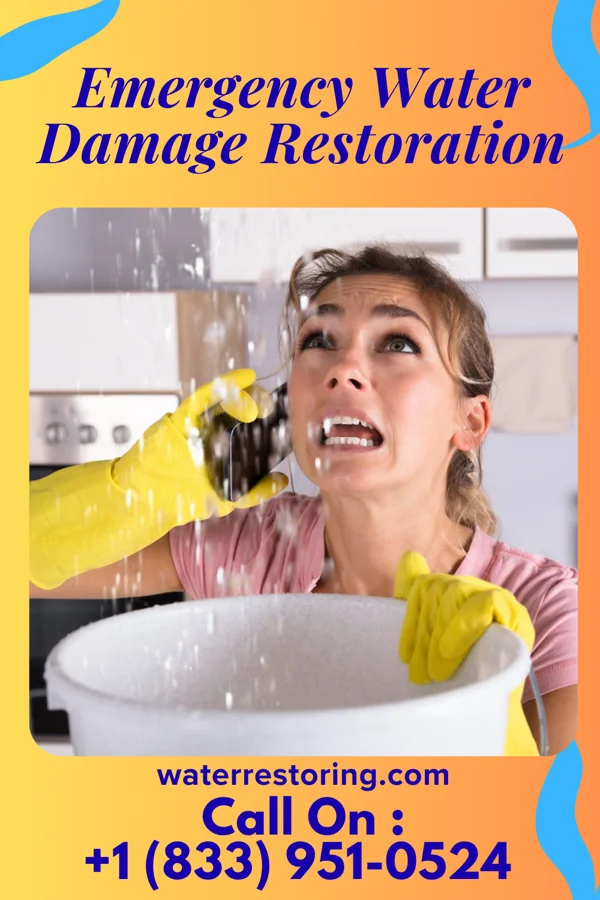 Emergency Water Damage Restoration in Cusick, WA